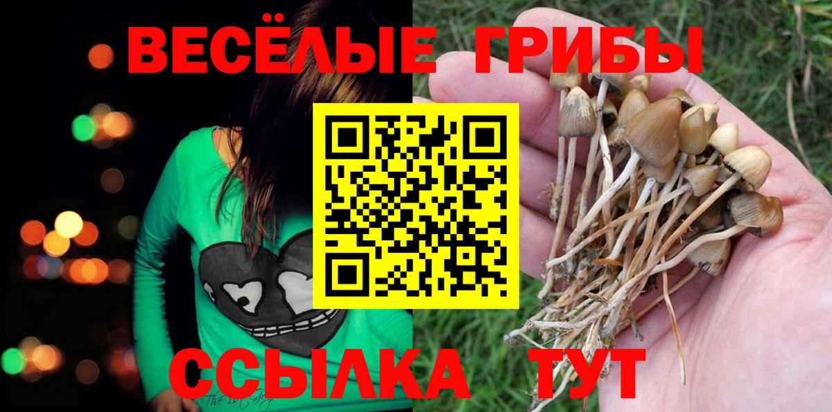 Псилоцибиновые грибы ЛСД  Галлюциногенные грибы Psilocybine cubensis  Тобольск  Вход с VPN 